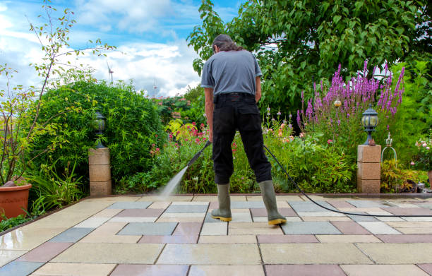 Animal Enclosure Cleaning in Agoura Hills, CA